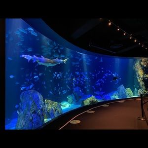 Meet your Posher, Susan